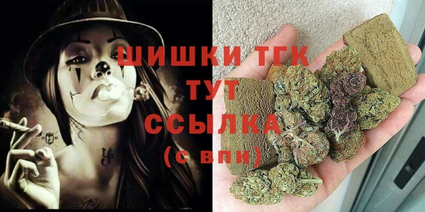 СК Алексин