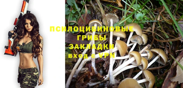 трава Алзамай