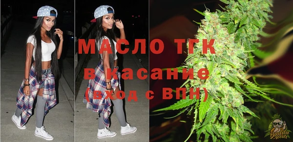 СК Алексин