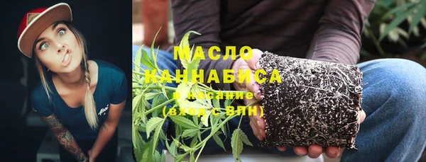 СК Алексин