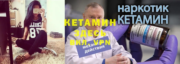 СК Алексин