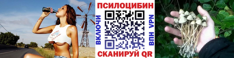 Псилоцибиновые грибы ЛСД kraken маркетплейс Палласовка